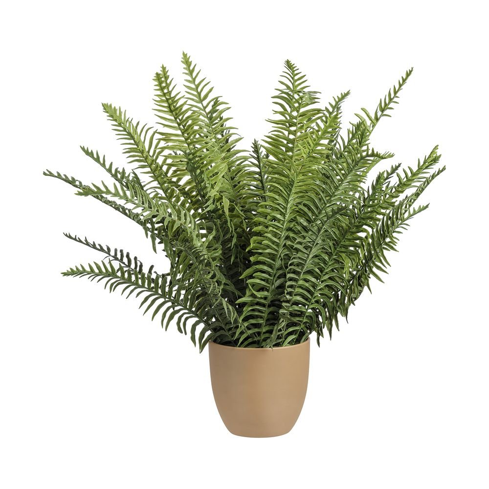 Planta Artificial Samambaia Home Style Boston