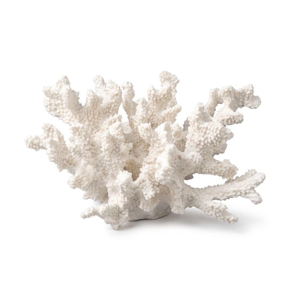 Coral Décor Home Style Bruma 20 cm
